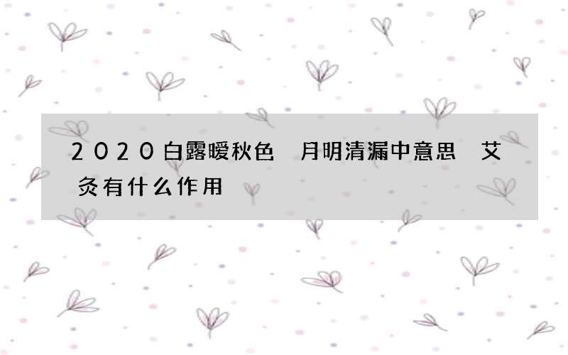 2020白露暧秋色 月明清漏中意思 艾灸有什么作用